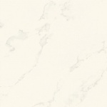 T01P0409