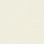 T01P0406