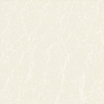 T01P0404