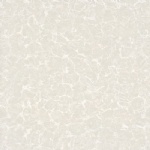 T01P0203