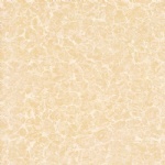 T01P0202