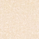 T01P0201