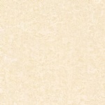 T01P0320
