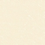 T01P0319