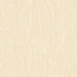 T01P0313
