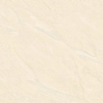 T01P0311