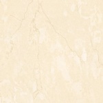 T01P0310