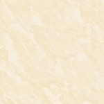 T01P0309