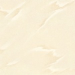 T01P0308