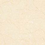 T01P0307