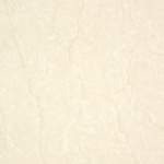 T01P0306