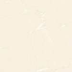 T01P0305