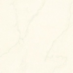 T01P0301