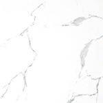 T01G0607
