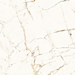 T01G0606