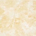 T01G0504