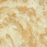 T01M0105